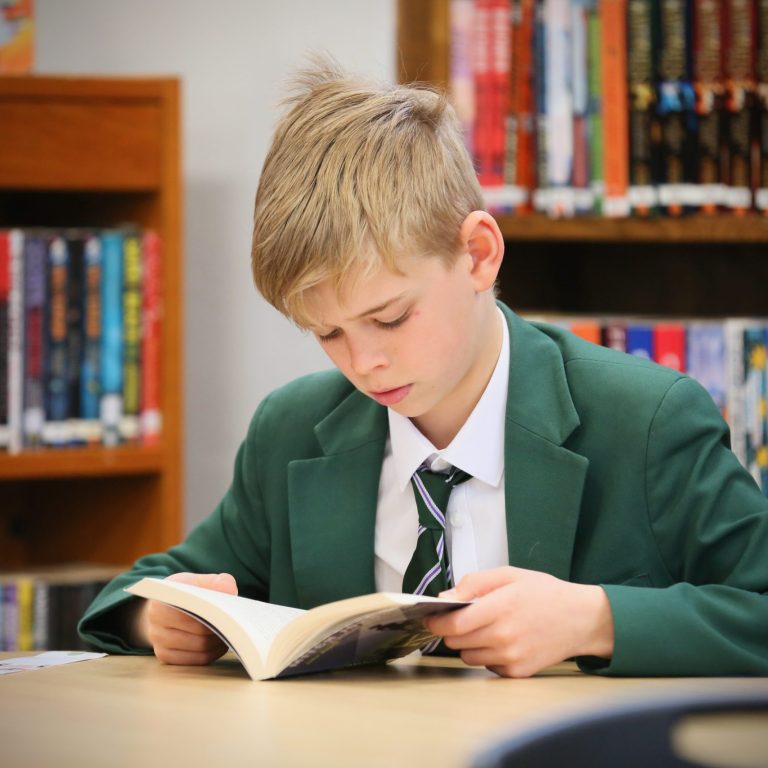 Pupil in the Senior School Library