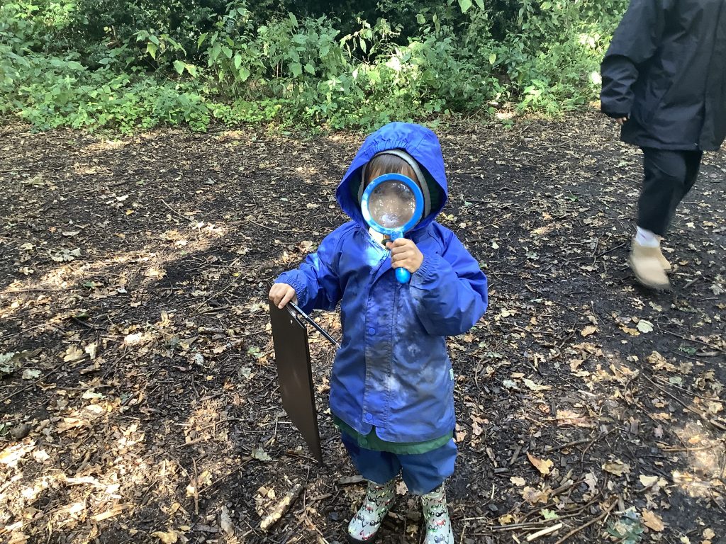 Forest School